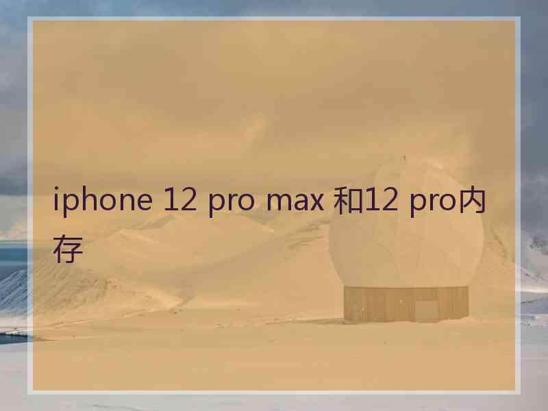 iphone 12 pro max 和12 pro内存