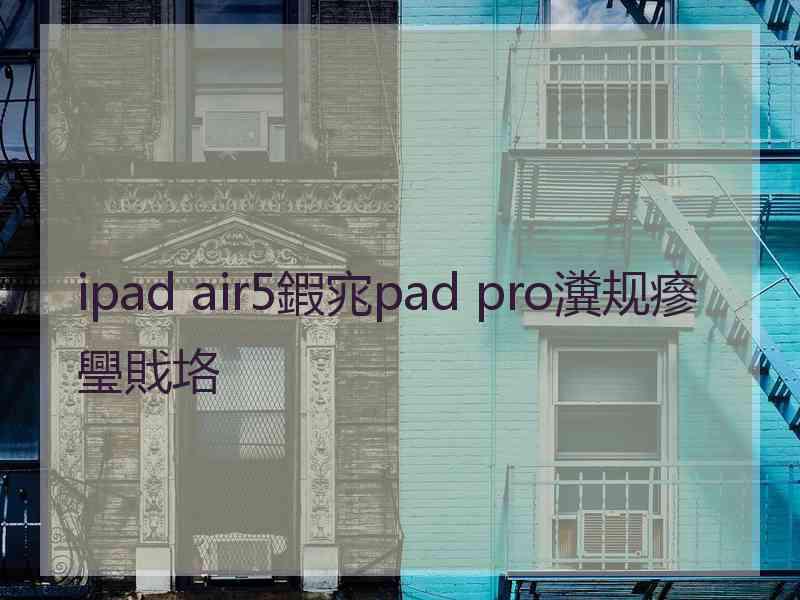 ipad air5鍜宨pad pro瀵规瘮璺戝垎