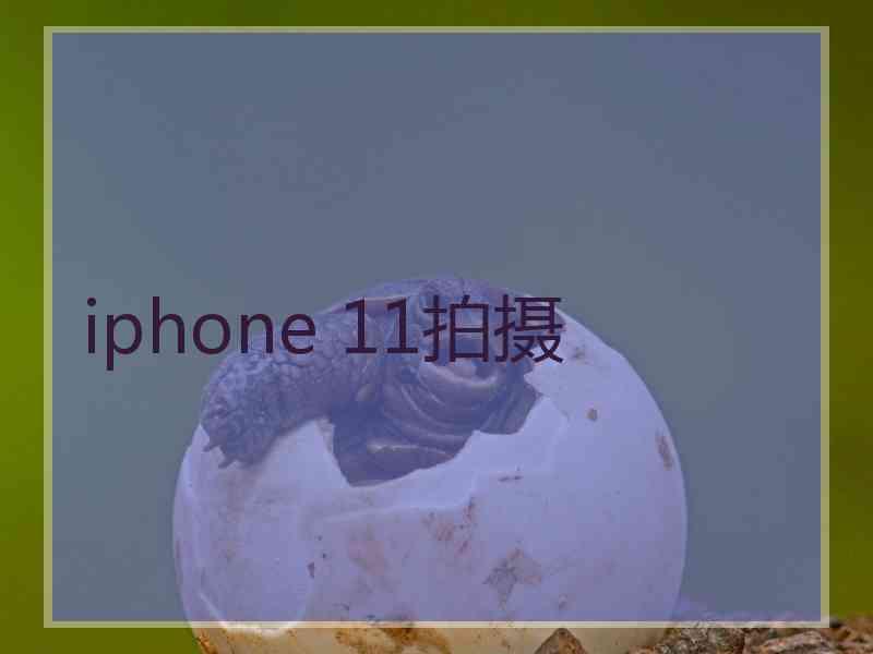 iphone 11拍摄