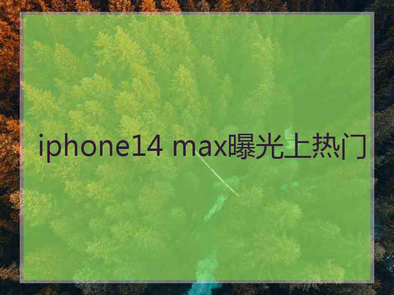 iphone14 max曝光上热门