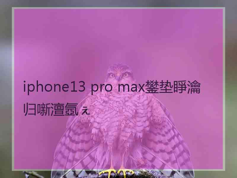 iphone13 pro max鐢垫睜瀹归噺澶氬ぇ