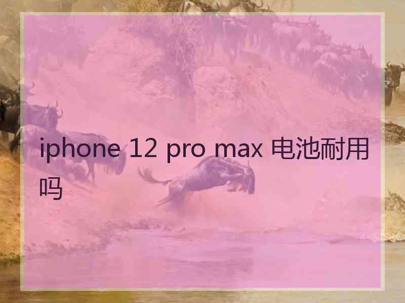 iphone 12 pro max 电池耐用吗