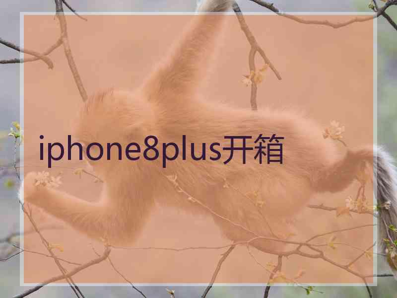 iphone8plus开箱