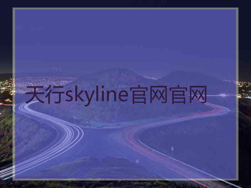 天行skyline官网官网