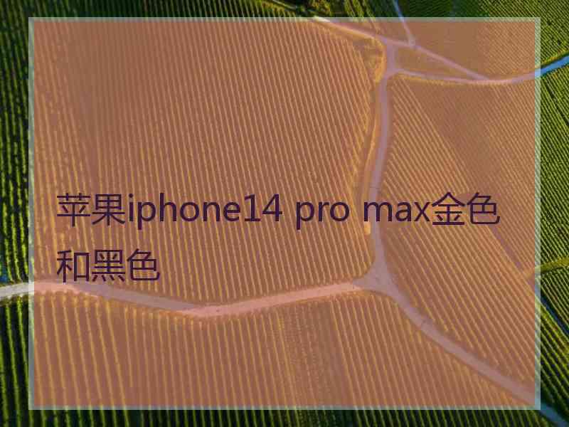 苹果iphone14 pro max金色和黑色