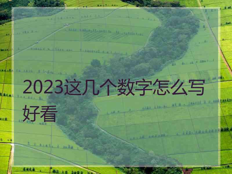 2023这几个数字怎么写好看