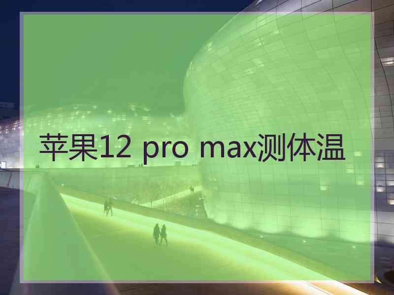 苹果12 pro max测体温