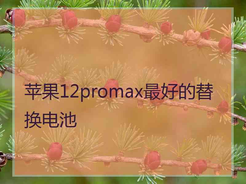 苹果12promax最好的替换电池