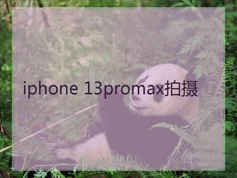 iphone 13promax拍摄