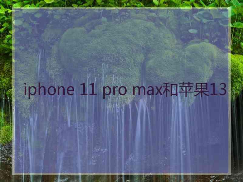 iphone 11 pro max和苹果13