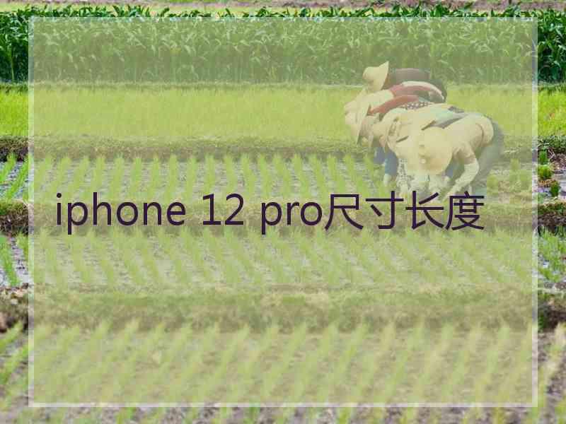 iphone 12 pro尺寸长度