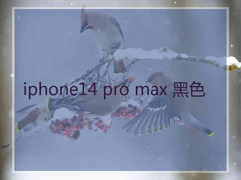 iphone14 pro max 黑色