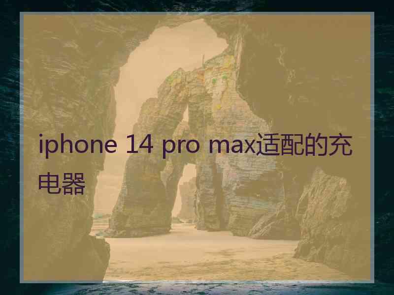 iphone 14 pro max适配的充电器