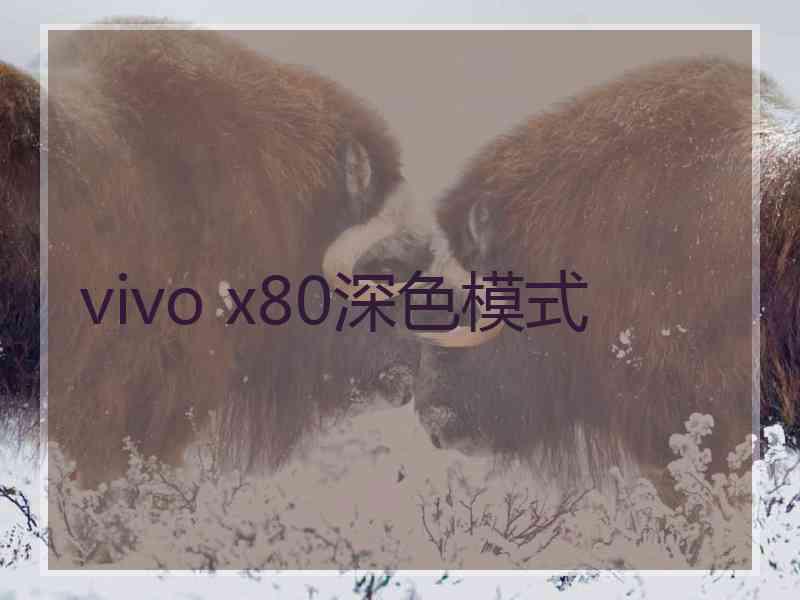 vivo x80深色模式