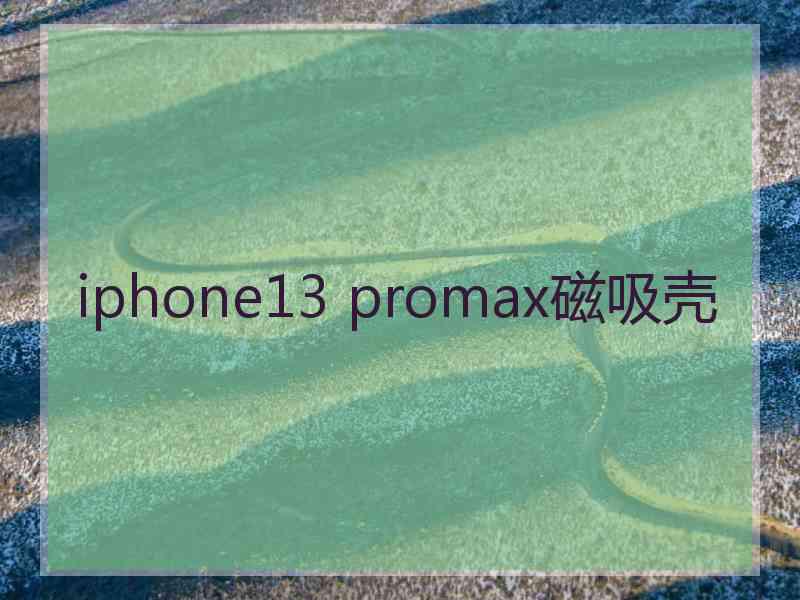 iphone13 promax磁吸壳