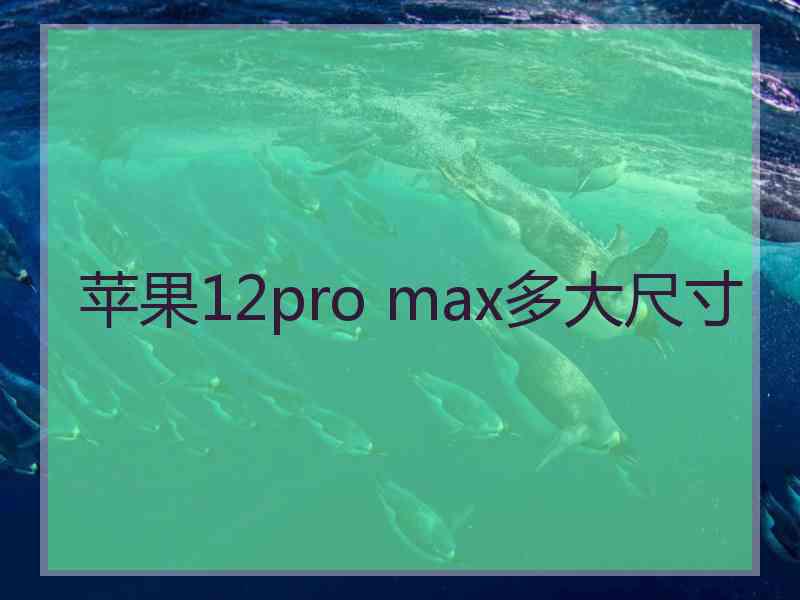 苹果12pro max多大尺寸