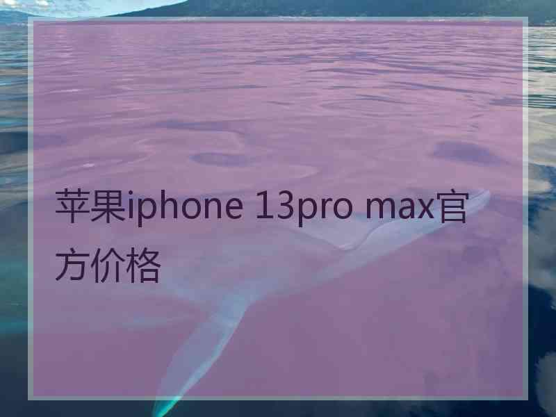 苹果iphone 13pro max官方价格