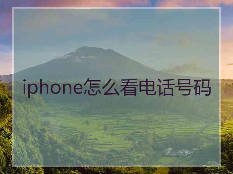 iphone怎么看电话号码