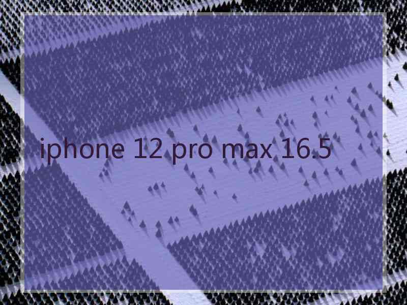 iphone 12 pro max 16.5