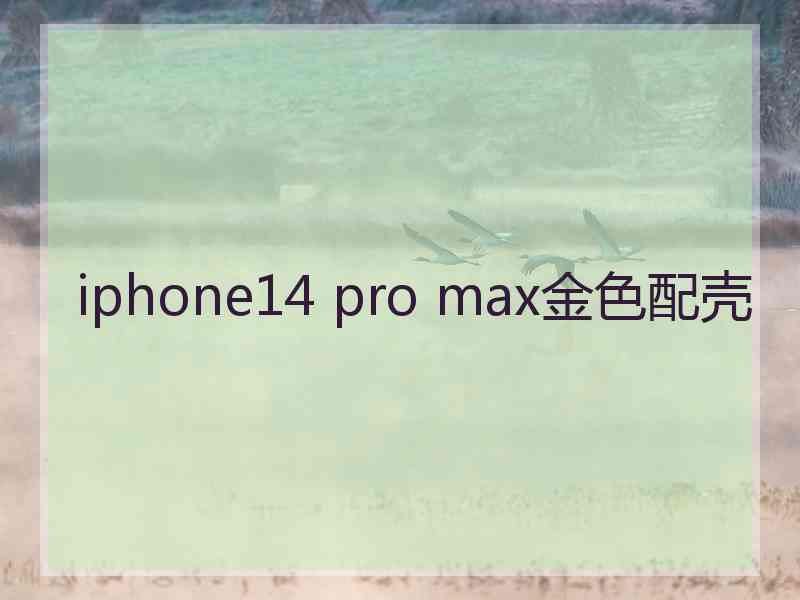 iphone14 pro max金色配壳