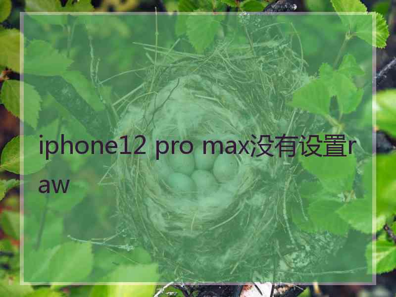 iphone12 pro max没有设置raw