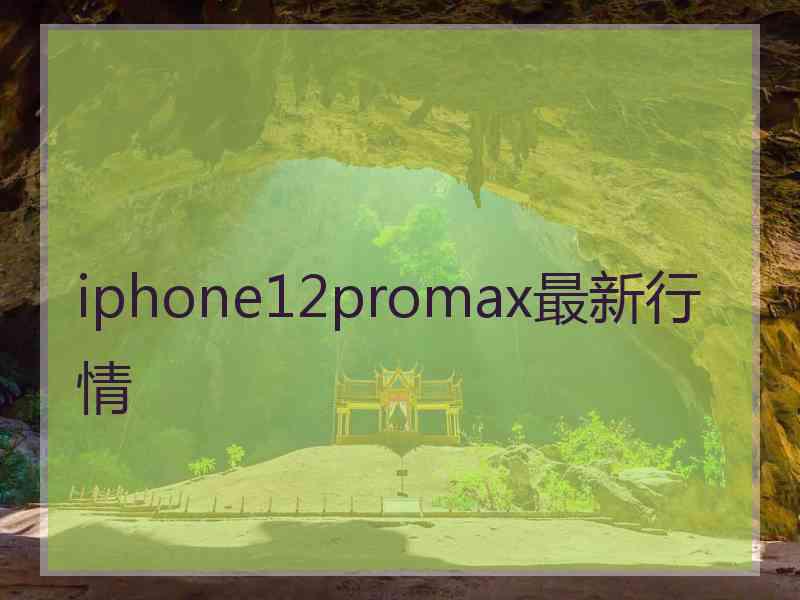 iphone12promax最新行情