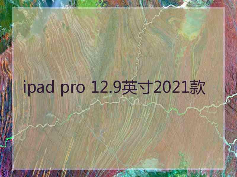 ipad pro 12.9英寸2021款