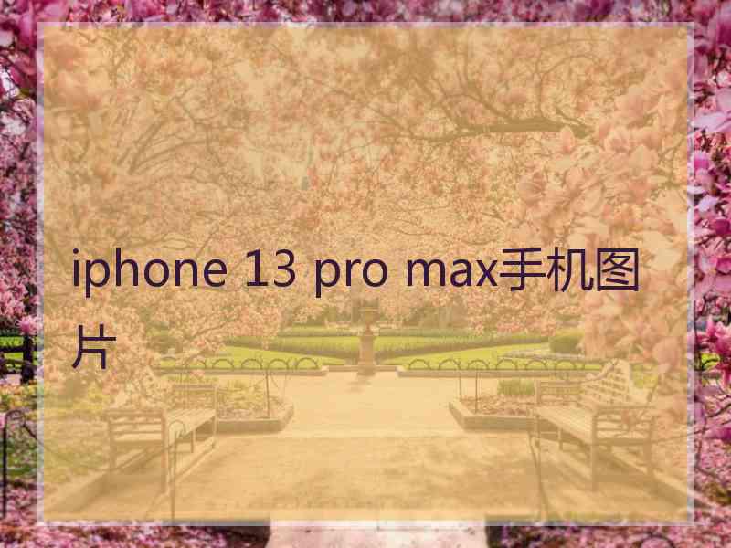 iphone 13 pro max手机图片