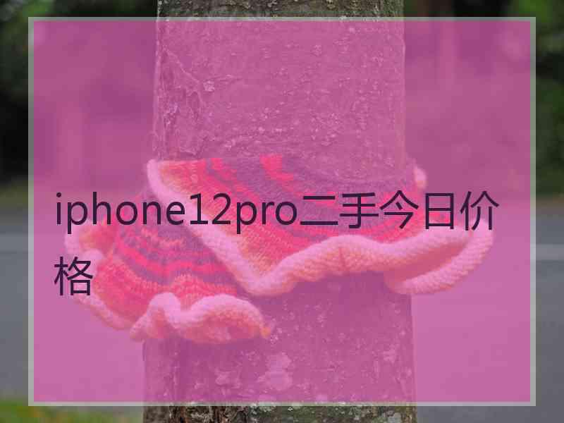 iphone12pro二手今日价格