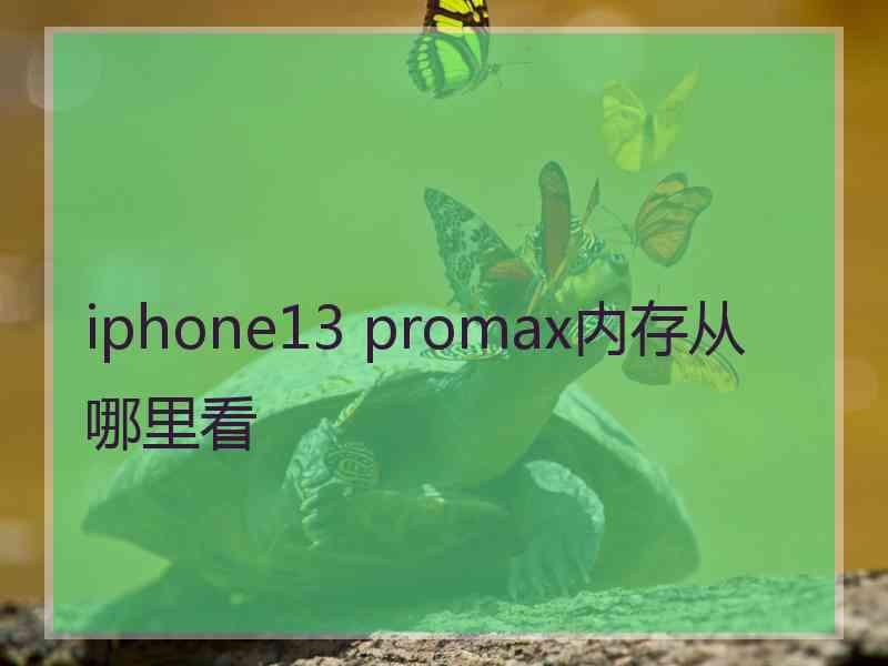 iphone13 promax内存从哪里看