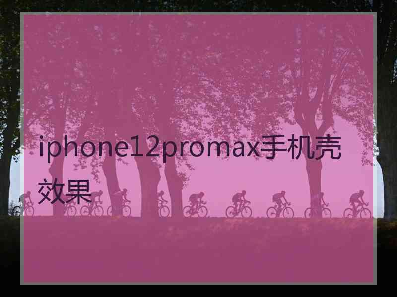 iphone12promax手机壳效果