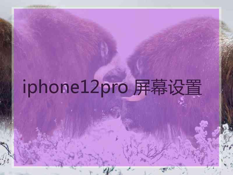 iphone12pro 屏幕设置