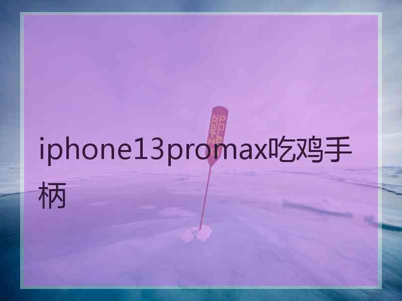 iphone13promax吃鸡手柄