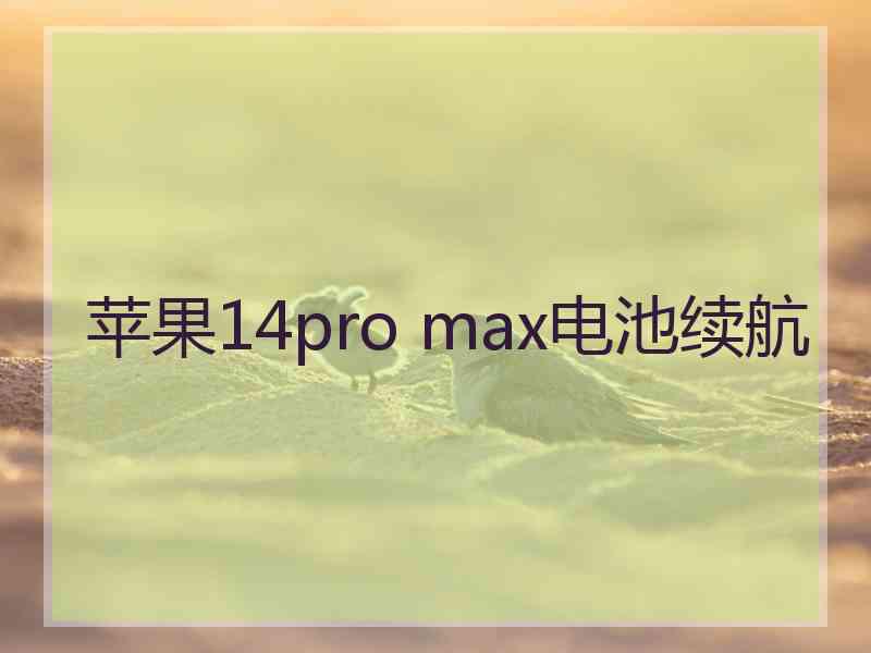 苹果14pro max电池续航