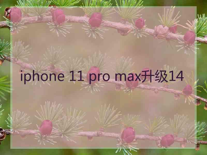 iphone 11 pro max升级14