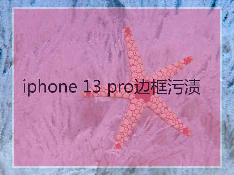 iphone 13 pro边框污渍