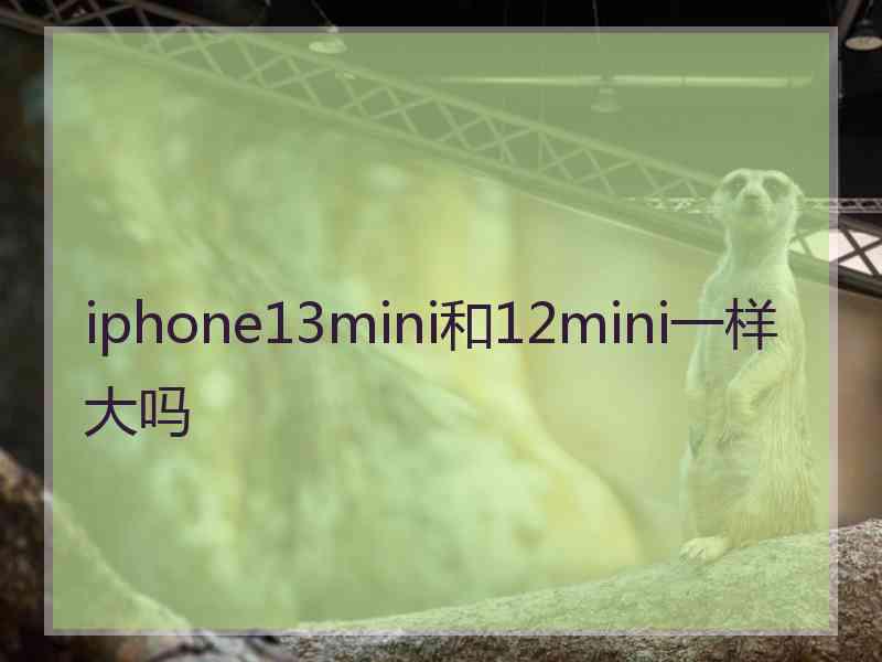 iphone13mini和12mini一样大吗