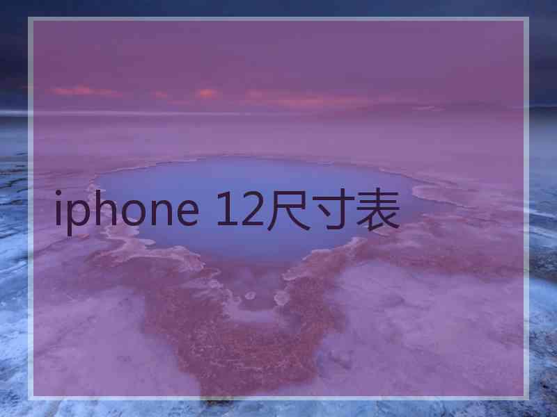 iphone 12尺寸表