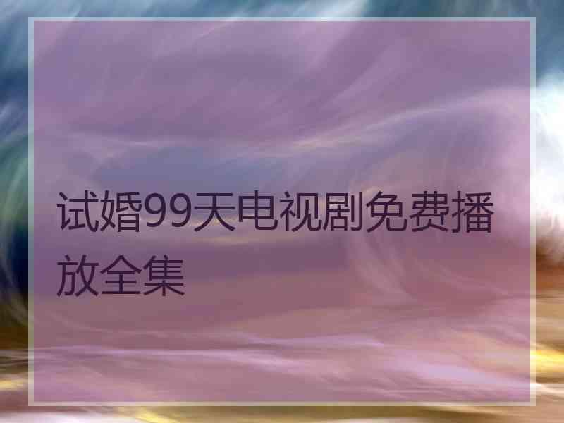 试婚99天电视剧免费播放全集