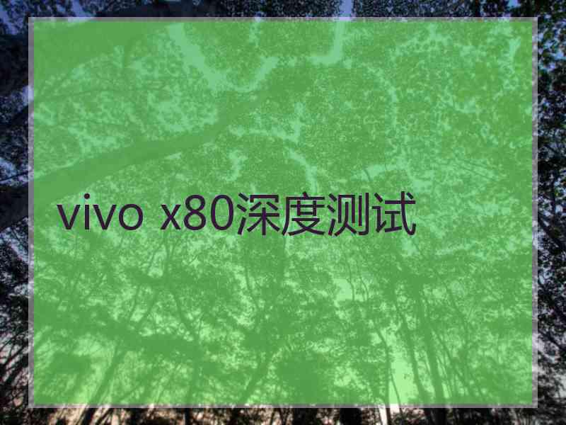 vivo x80深度测试