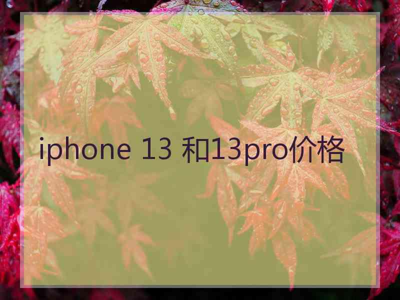 iphone 13 和13pro价格