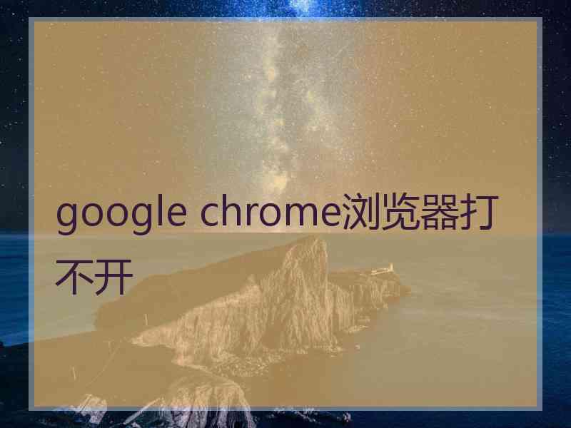 google chrome浏览器打不开