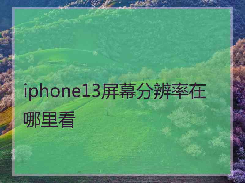 iphone13屏幕分辨率在哪里看