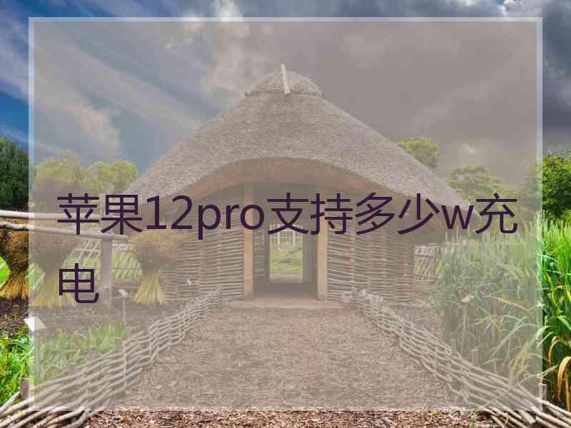 苹果12pro支持多少w充电