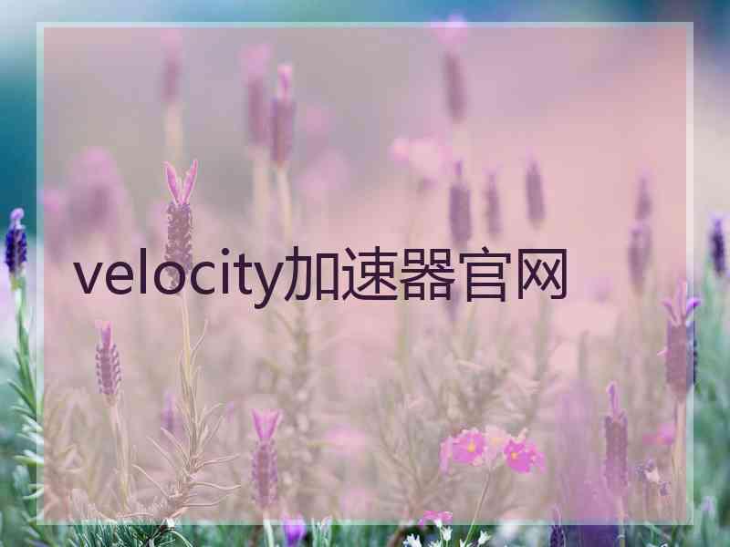 velocity加速器官网