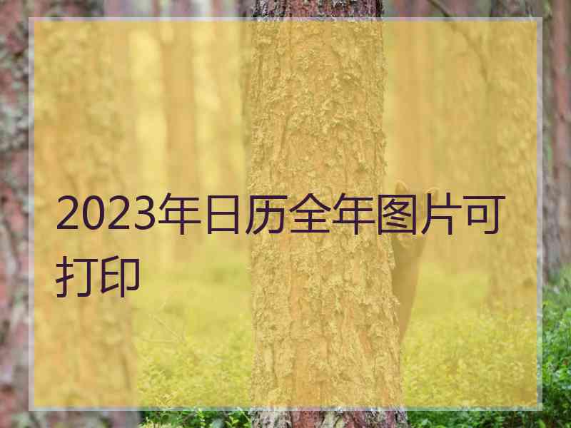 2023年日历全年图片可打印