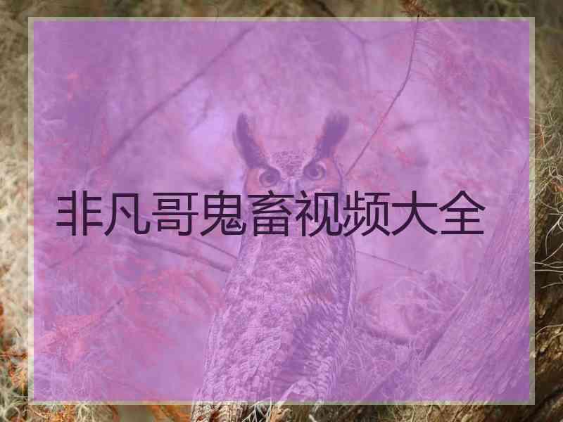 非凡哥鬼畜视频大全