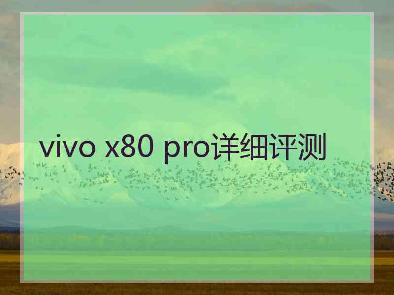 vivo x80 pro详细评测