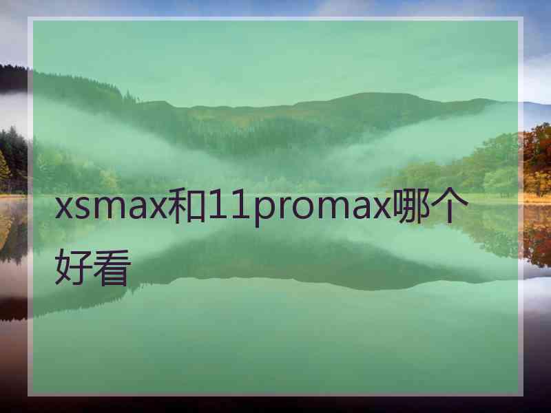 xsmax和11promax哪个好看