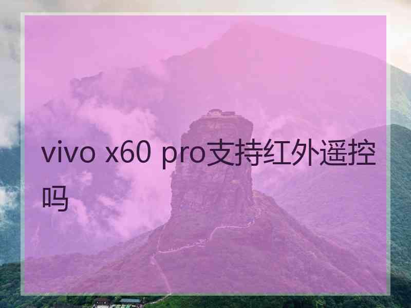 vivo x60 pro支持红外遥控吗